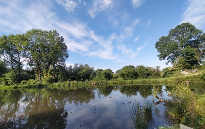 Maison COURCITE (53700)  112 m2 198 000 € 