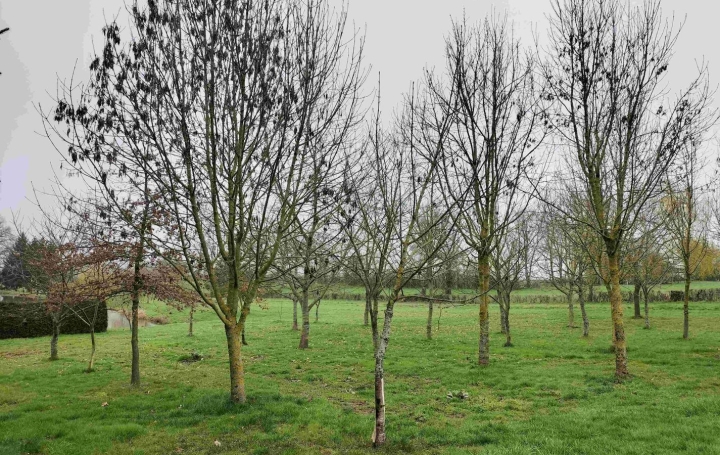 Terrain SAINT-CYR-EN-PAIL (53140)   65 000 € 