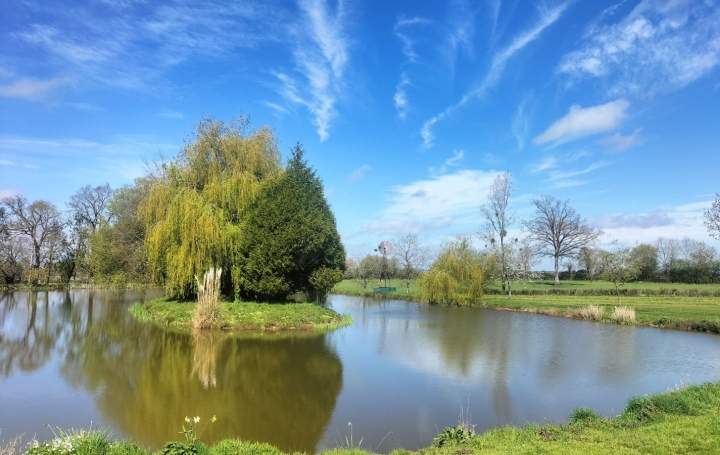 Terrain SAINT-CYR-EN-PAIL (53140) 0 m<sup>2</sup> 65 000 € 