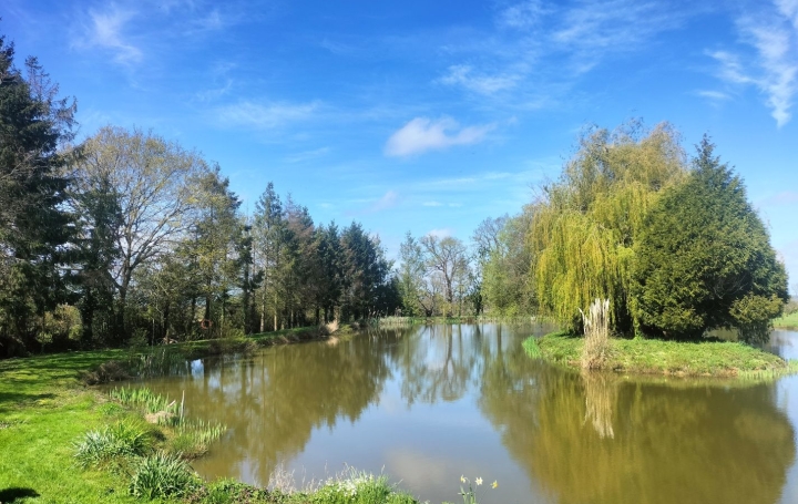 Terrain SAINT-CYR-EN-PAIL (53140)   65 000 € 