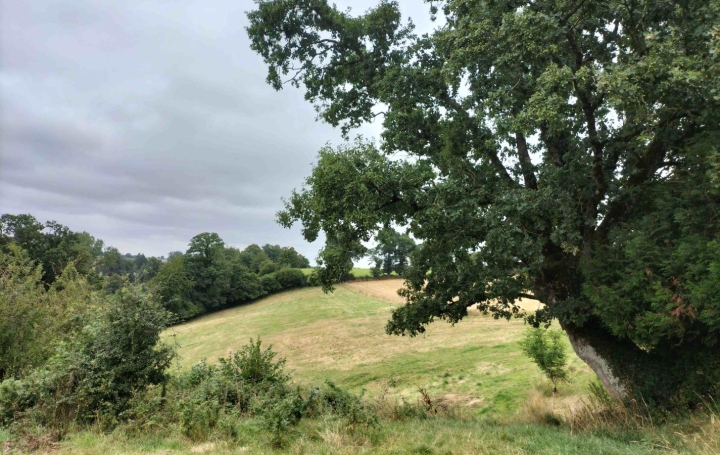 Maison LE HAM (53250)  157 m2 157 500 € 