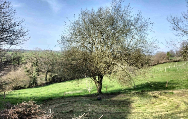 Maison LE HAM (53250)  157 m2 157 500 € 