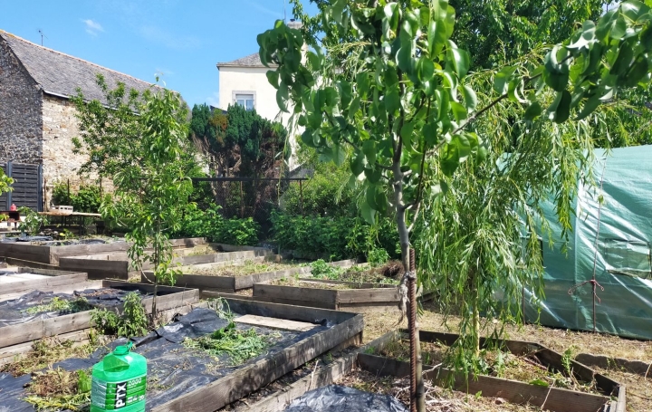 Terrain ANDOUILLE (53240)   4 500 € 