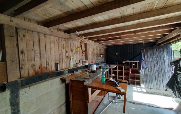 Terrain ANDOUILLE (53240)   4 500 € 