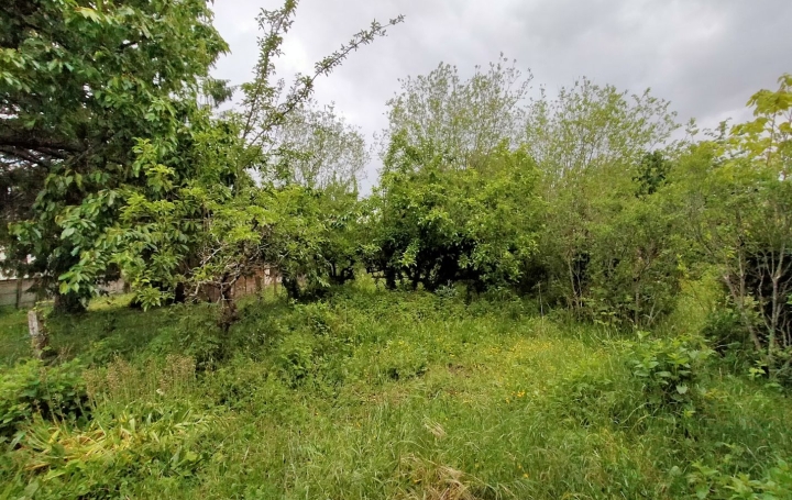 Maison de village LIGNIERES-ORGERES (53140)  77 m2 28 000 € 
