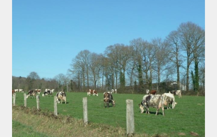 Réseau Immo-diffusion : Propriété  HAUTEVILLE-LOMPNES   100 € 