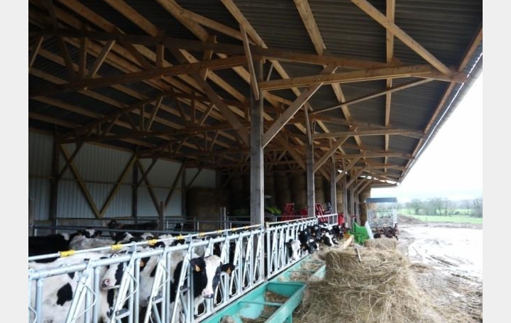 Réseau Immo-diffusion : Propriété  LASSAY-LES-CHATEAUX  144 m2 0 € 