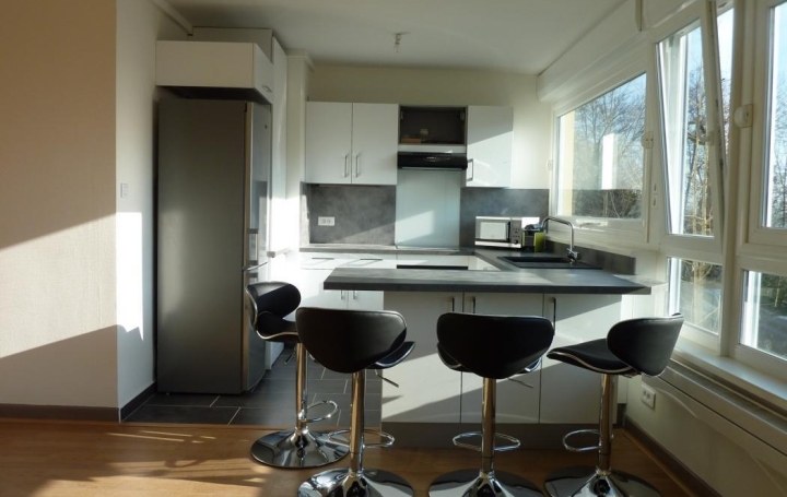 Réseau Immo-diffusion : Appartement P4  NANCY  12 m2 410 € 
