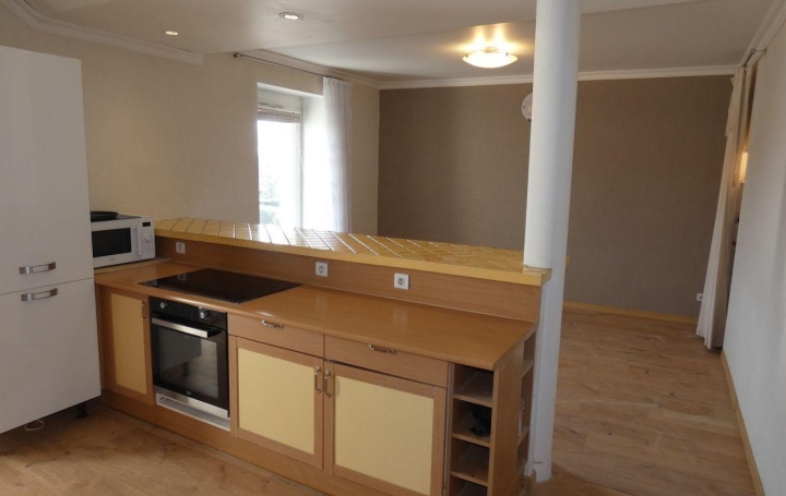 Réseau Immo-diffusion : Appartement P4  MAXEVILLE  90 m2 155 000 € 