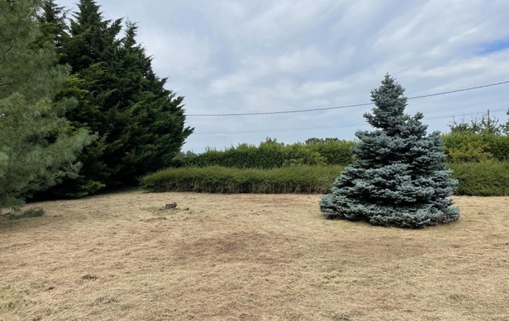 Réseau Immo-diffusion : Terrain  PEAUGRES  1 300 m2 139 000 € 