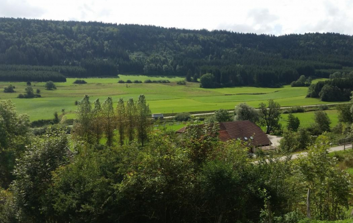 Réseau Immo-diffusion : Terrain  PONTARLIER   105 000 € 