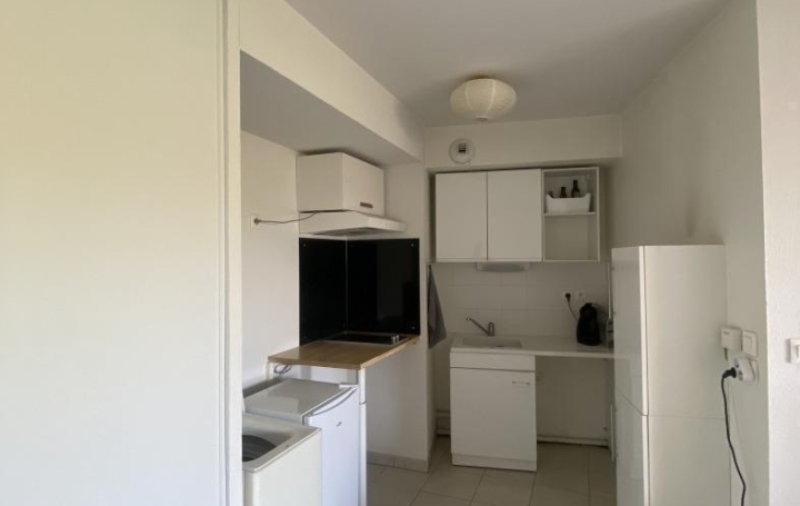 2 Pièces VENDARGUES (34740)  41 m2 734 € 