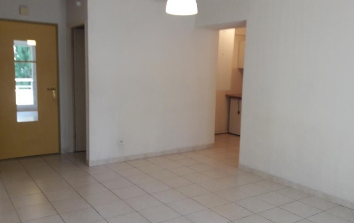 2 Pièces MONTPELLIER (34000)  39 m2 922 € 