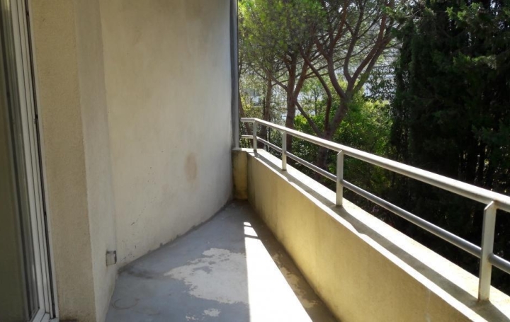 2 Pièces MONTPELLIER (34000)  39 m2 922 € 