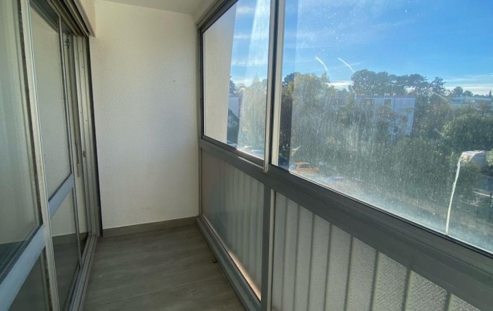 1 Pièce MONTPELLIER (34000)  22 m2 497 € 