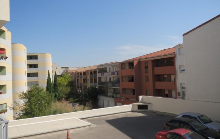 Studio MONTPELLIER (34000)  24 m2 515 € 
