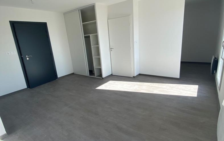 1 Pièce MONTPELLIER (34000)  36 m2 651 € 