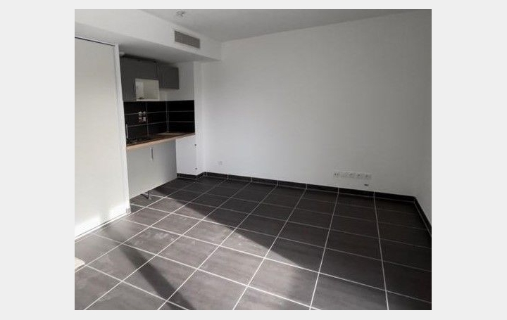 2 Pièces CASTELNAU-LE-LEZ (34170)  39 m2 848 € 
