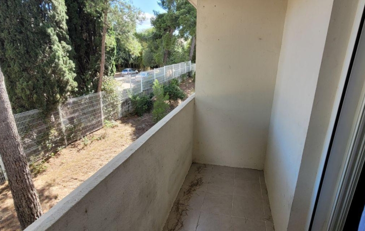 2 Pièces MONTPELLIER (34000)  31 m2 610 € 