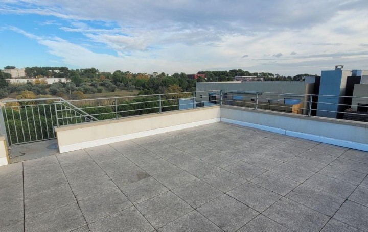 3 Pièces MONTPELLIER (34080)  84 m2 1 232 € 