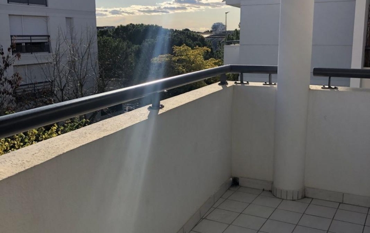 Studio MONTPELLIER (34000)  21 m2 770 € 