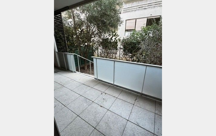 2 Pièces CASTELNAU-LE-LEZ (34170)  39 m2 733 € 
