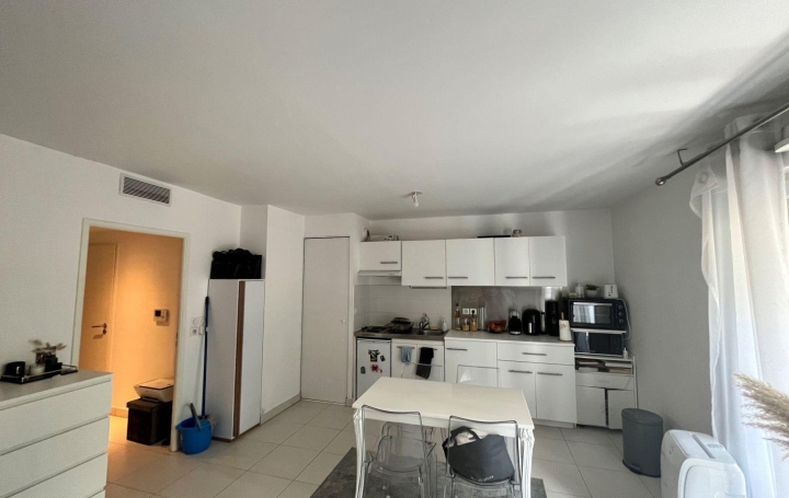 1 Pièce MONTPELLIER (34000)  35 m2 630 € 
