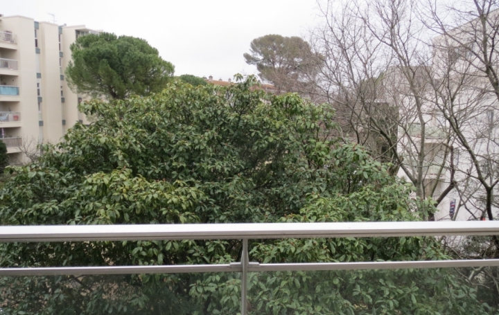 2 Pièces MONTPELLIER (34090)  38 m2 739 € 