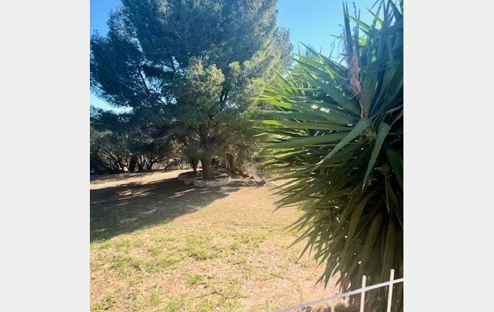 Maison SIGEAN (11130)  152 m2 355 000 € 