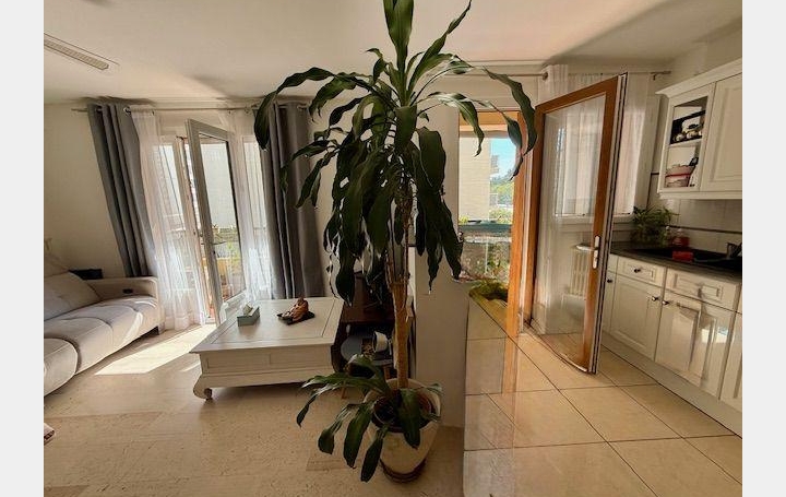 3 Pièces MONTPELLIER (34000)  58 m2 182 000 € 
