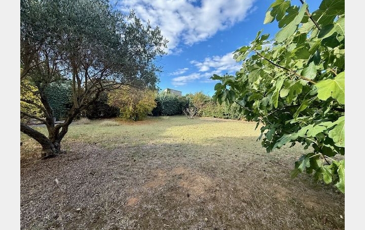 Villa TEYRAN (34820)  235 m2 743 000 € 