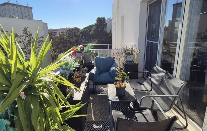 Appartement MONTPELLIER (34080) 78 m<sup>2</sup> 239 000 € 