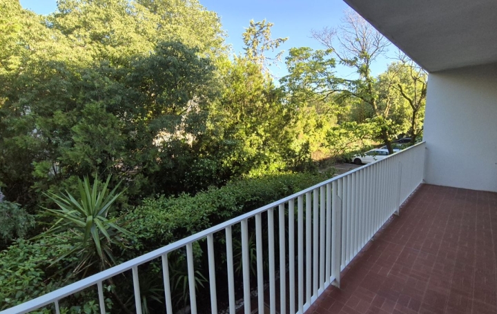 3 Pièces MONTPELLIER (34000)  62 m2 233 000 € 