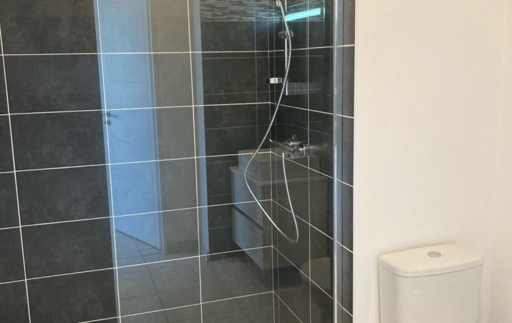 1 Pièce CASTELNAU-LE-LEZ (34170)  35 m2 175 000 € 