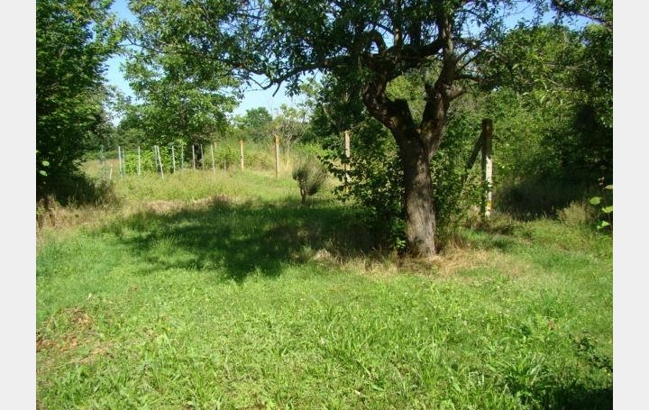 Maison SALIGNY-SUR-ROUDON (03470)  180 m2 60 500 € 