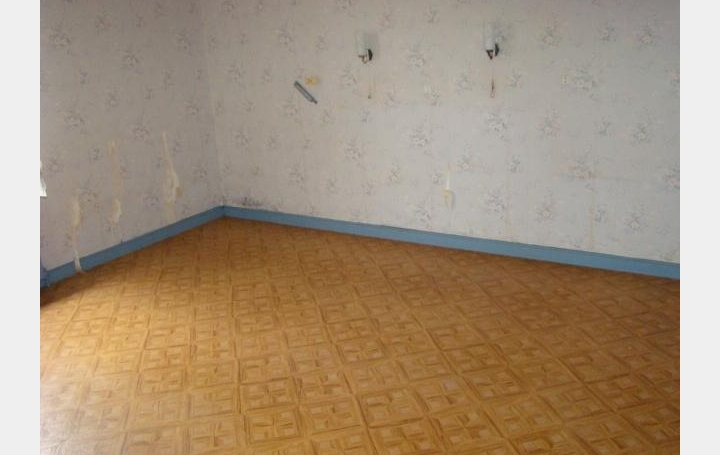 Maison MONETAY-SUR-LOIRE (03470)  240 m2 76 300 € 