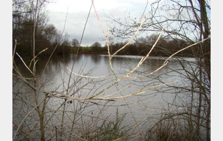 Réseau Immo-diffusion : Terrain  DECIZE   149 000 € 