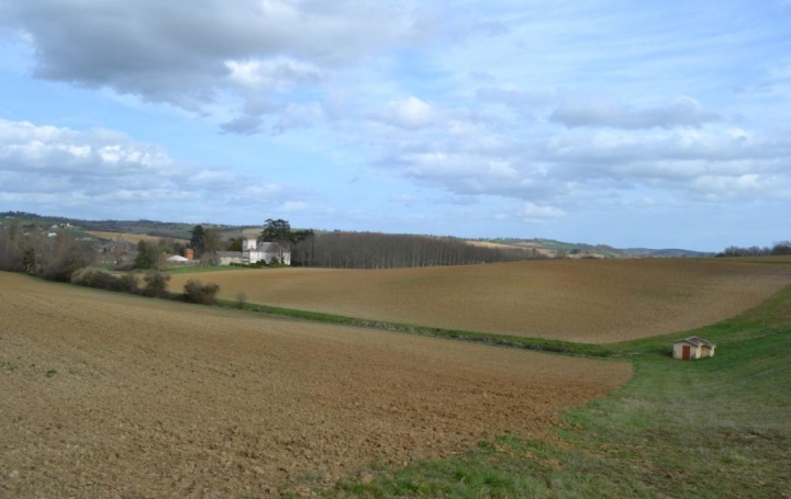 Terrain EAUZE (32800)   592 800 € 