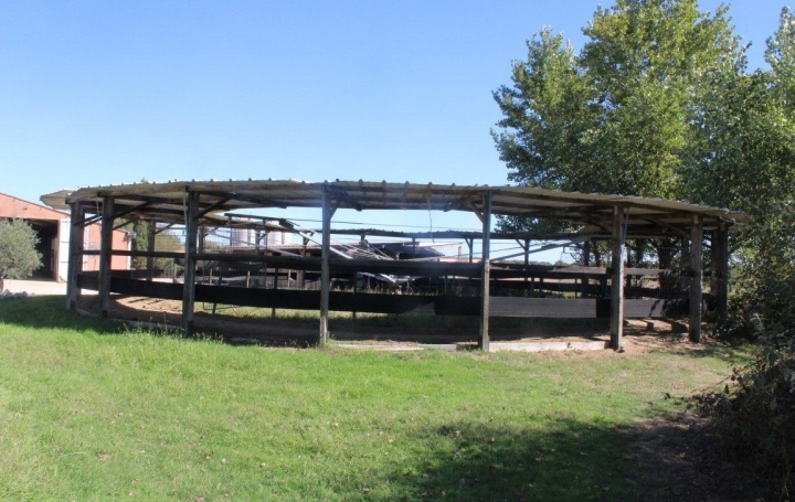 Propriété BLAGNAC (31700)  60 m2 1 100 000 € 