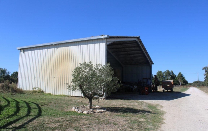 Propriété BLAGNAC (31700)  60 m2 1 100 000 € 