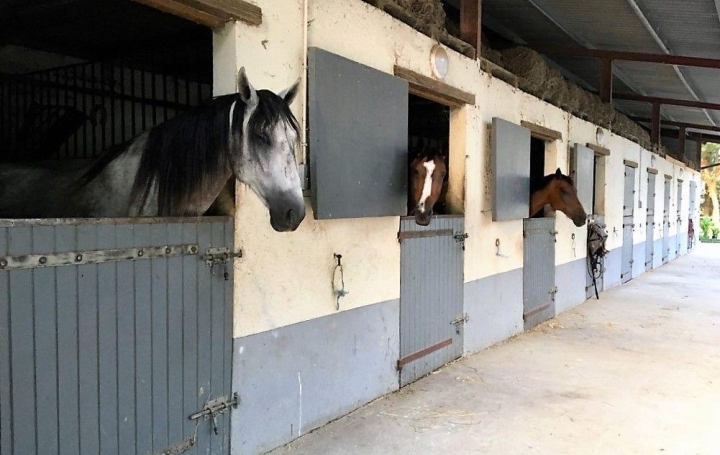 Propriété TOULOUSE (31000)  131 m2 980 000 € 