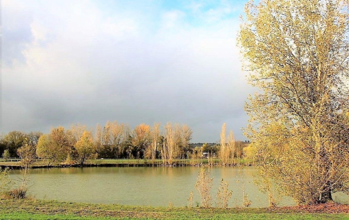 Propriété BEAUMONT-DE-LOMAGNE (82500)  490 m2 1 190 250 € 