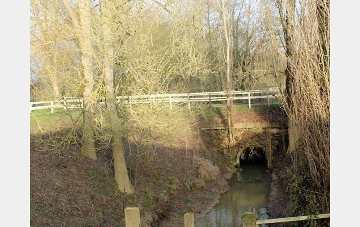 Propriété BEAUMONT-DE-LOMAGNE (82500)  490 m2 1 190 250 € 