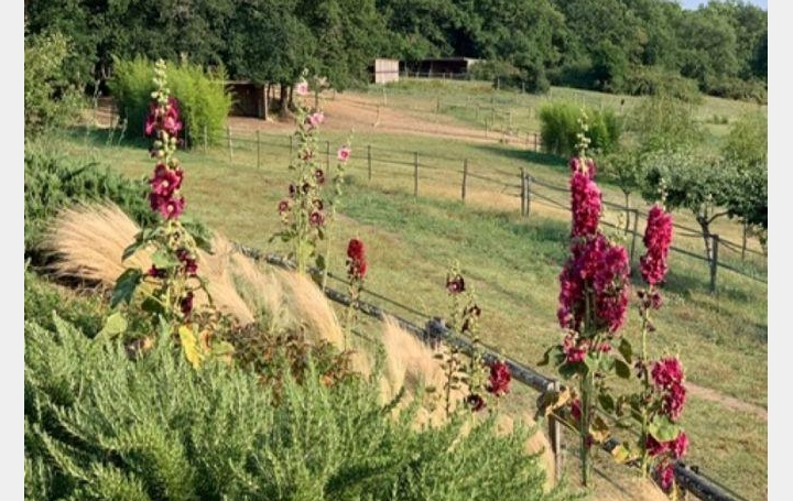 Propriété CAHORS (46000)  225 m2 748 800 € 