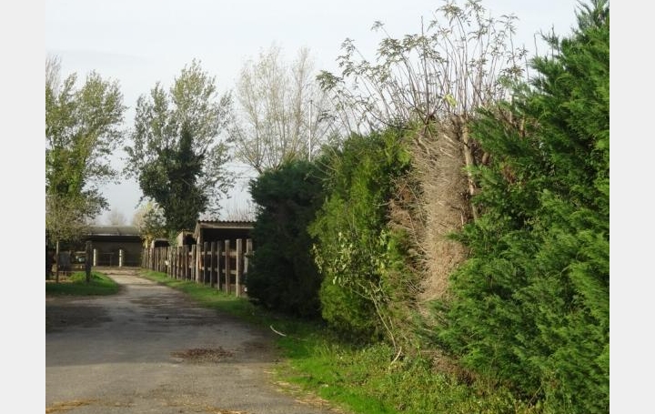 Réseau Immo-diffusion : Autre  CASTELSARRASIN   195 000 € 