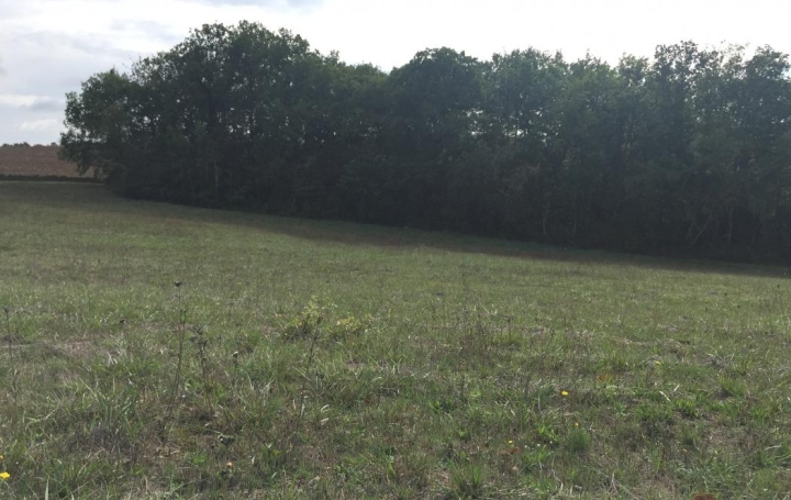 Réseau Immo-diffusion : Terrain  ORDAN-LARROQUE   59 900 € 