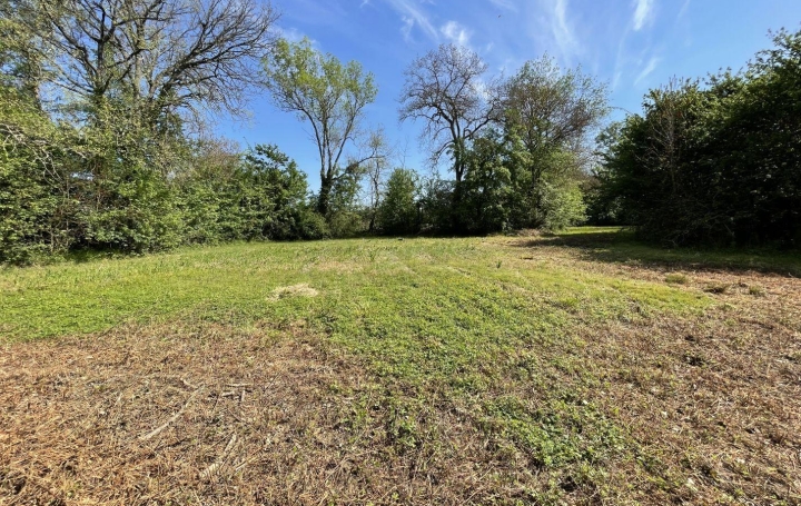 Réseau Immo-diffusion : Terrain  BERAUT   9 000 € 