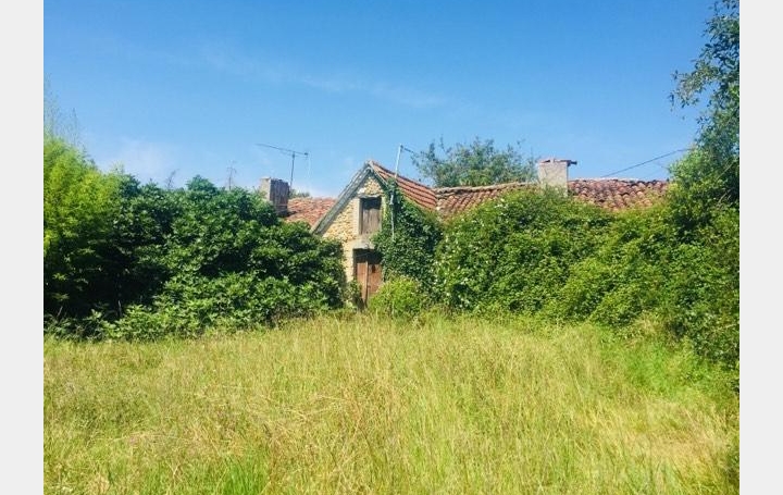 Réseau Immo-diffusion : Maison  NOUGAROULET  85 m2 45 000 € 