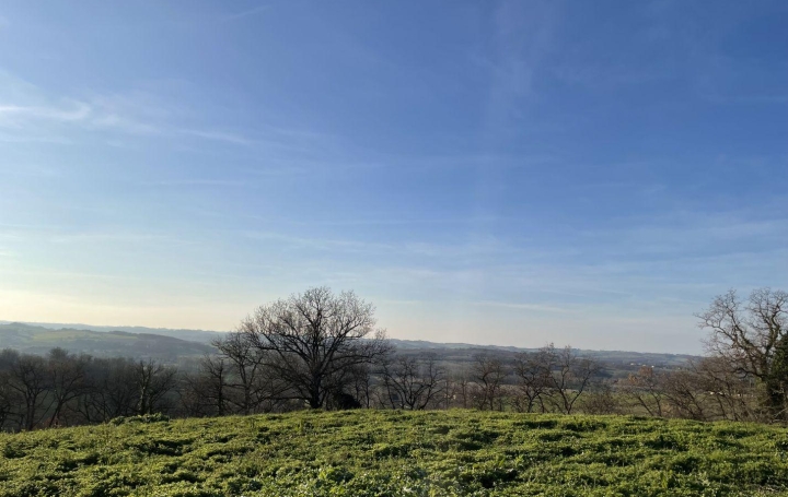 Réseau Immo-diffusion : Terrain  MIRAMBEAU   29 800 € 