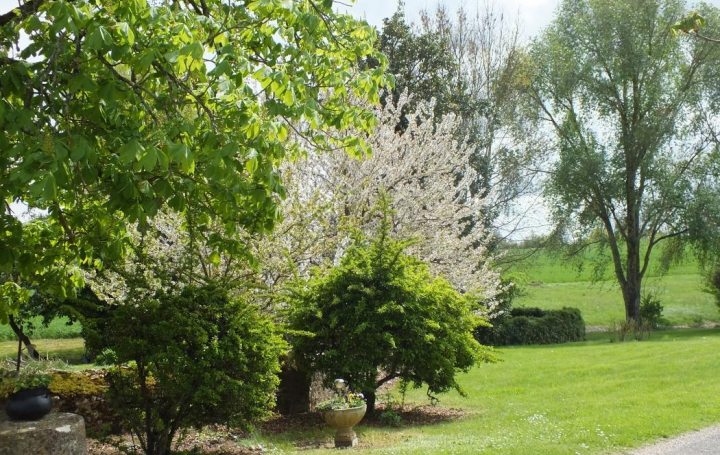 Réseau Immo-diffusion : Maison  BIRAN  200 m2 315 000 € 